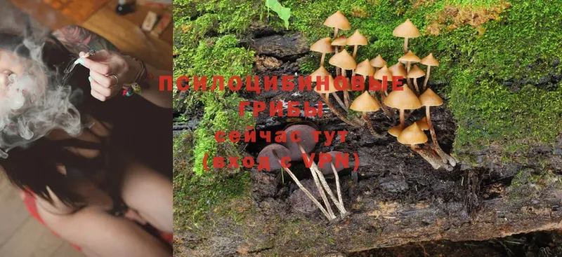 Галлюциногенные грибы MAGIC MUSHROOMS  Еманжелинск 